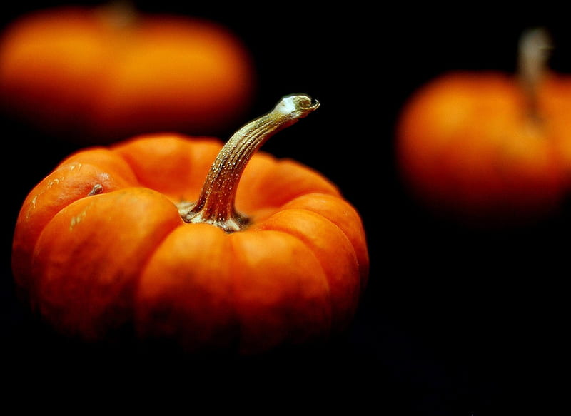 Pumpkins 1, grapny, Black, Orange, HD wallpaper | Peakpx