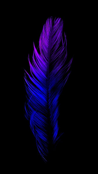 Purple Blue Feather, amoled, animal, bird, contrast, dark, minimal, oled, true black, vibrant, HD phone wallpaper