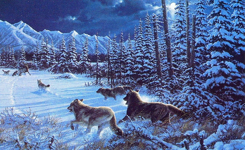 Wolves, art, forest, moon, michael sieve, winter, moon, tree, snow, painting, lup, wolf, pictura, white, blue, pack, night, HD wallpaper