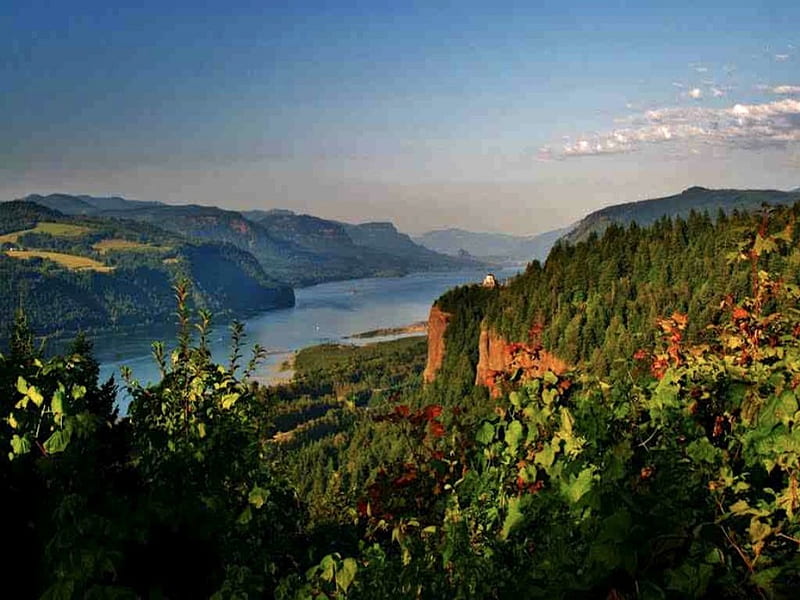 The Columbia River Gorge, cascades, scenic, deschutes, view, pacific northwest, route, HD wallpaper