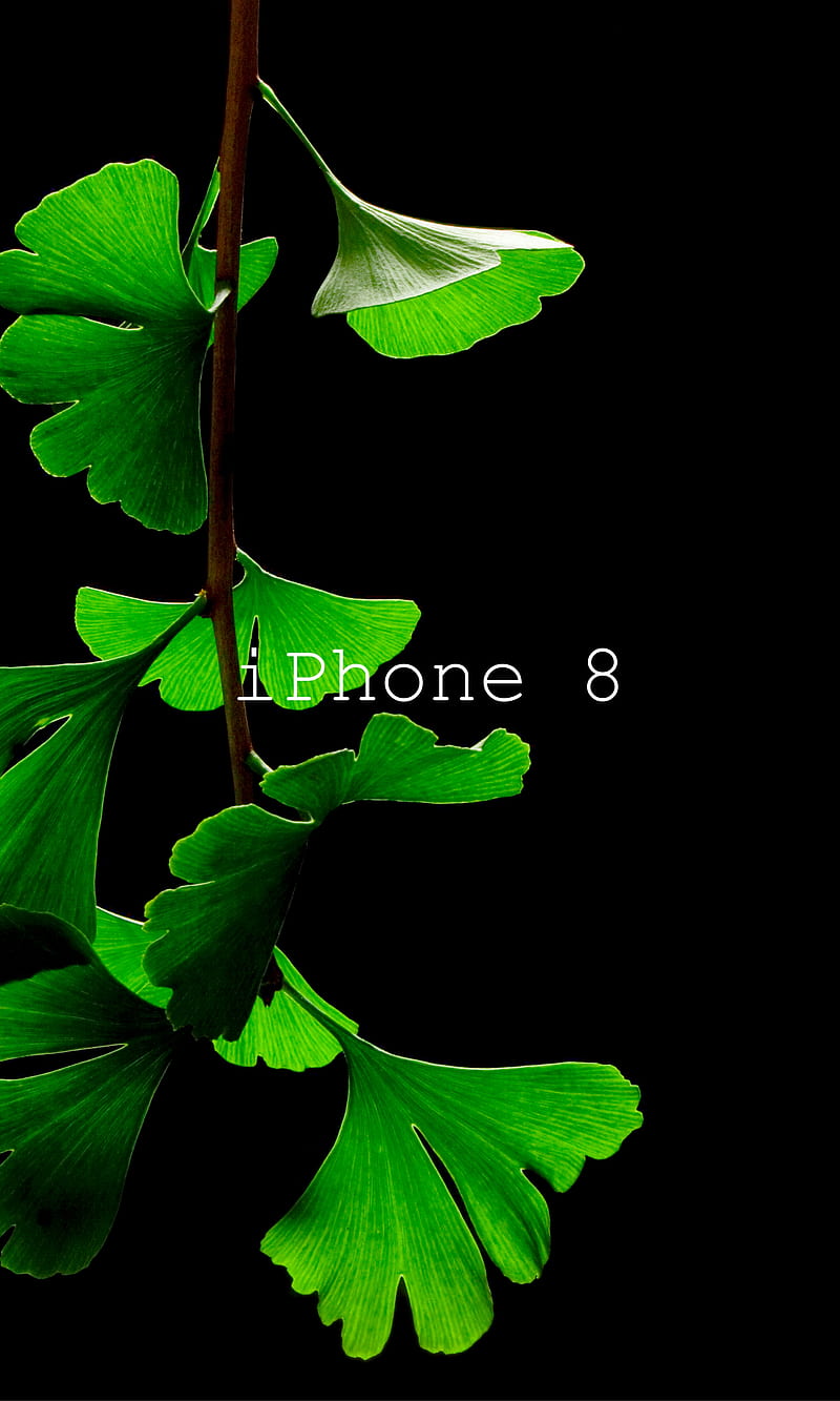 iphone 8, iphone 8 , iphone x, iphone x , sfondi iphone 8, sfondi iphone x, HD phone wallpaper