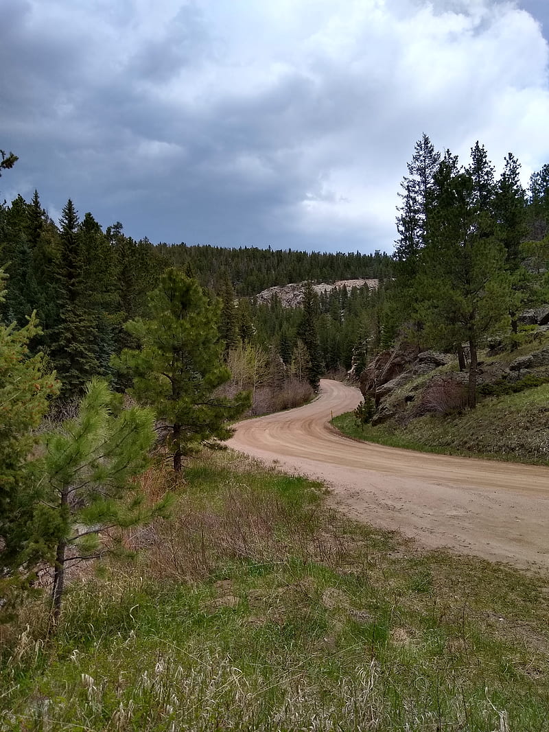 Dirt Road, colorado, country, mountain, scenes, trail, HD phone wallpaper