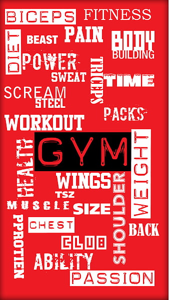 Gym, biceps, sport, tsz, HD phone wallpaper | Peakpx