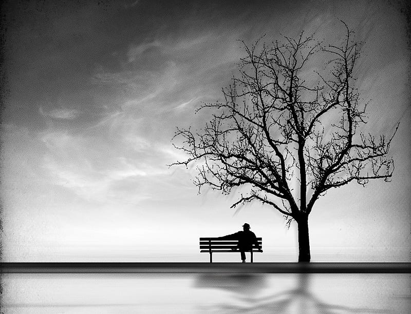 NOTHING BUT SILENCE ..., distance, enjoy, quiet, silence, bench, man, tree, graphy, bw, nature, HD wallpaper