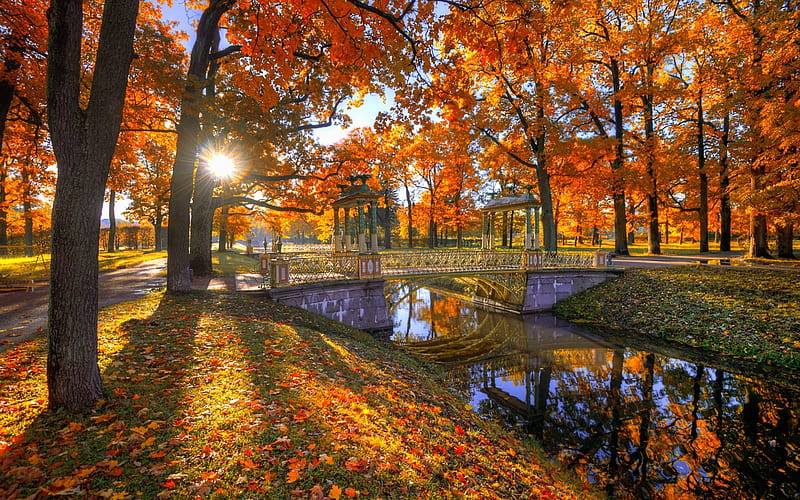 Autumn Park, bridge, canal, autumn, park, sunshine, trees, HD wallpaper ...