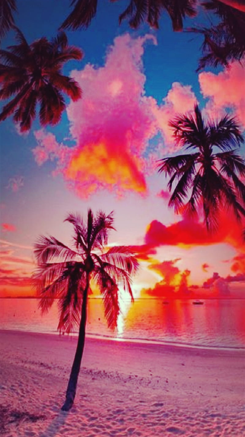 Pink Paradise, beach, colorful, ocean, palm, sand, sea, sunset, tree, water, HD phone wallpaper