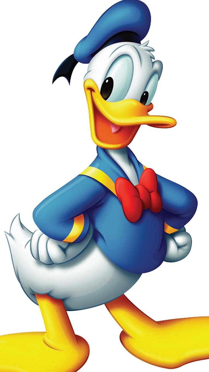 Donald Duck, cartoons, HD phone wallpaper | Peakpx