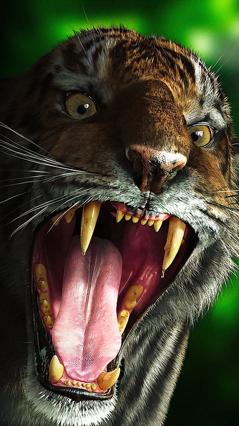 Tiger Teeth, eyes, post, tigers, white, HD phone wallpaper