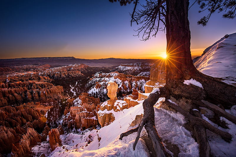 National Park, Bryce Canyon National Park, Snow, Sunset, Tree, USA, Utah, HD wallpaper