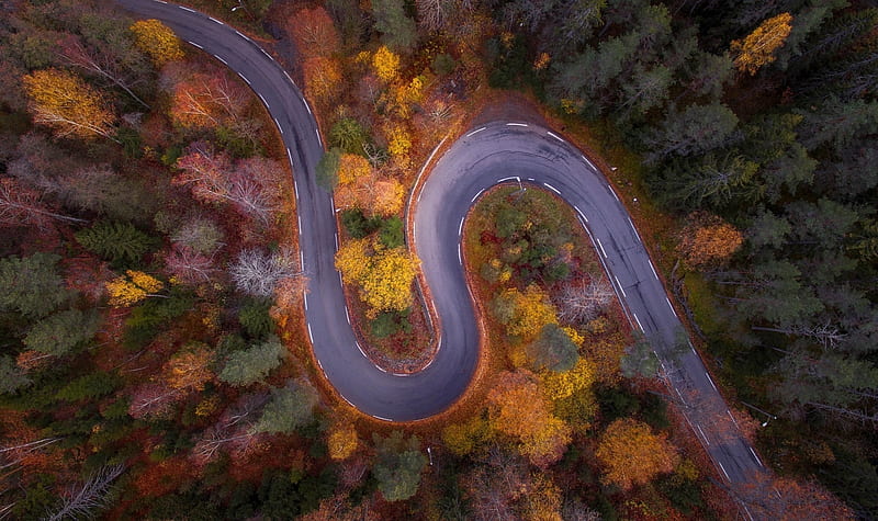 Forest road view from the top, view from the top, forest, autumn, tree, texture, toamna, skin, road, HD wallpaper