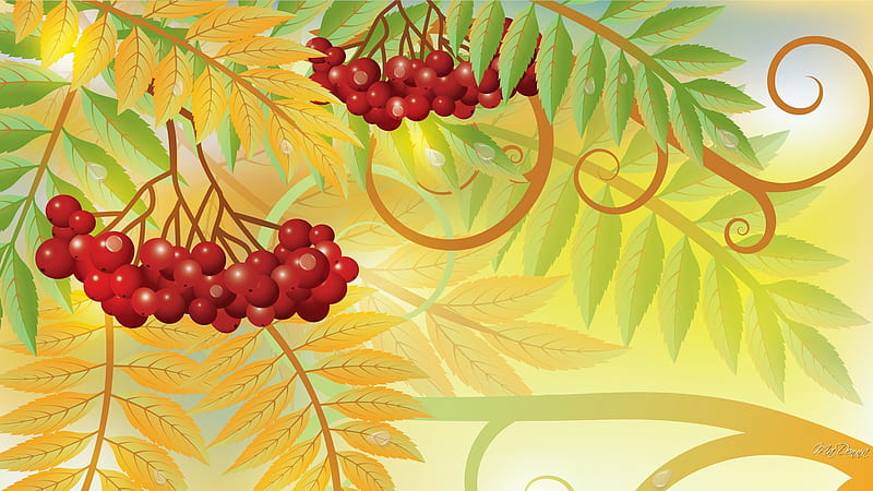 Mountain Ash Fall, fall, autumn, rowan, leaves, berries, mountain ash, Firefox Persona theme, HD wallpaper