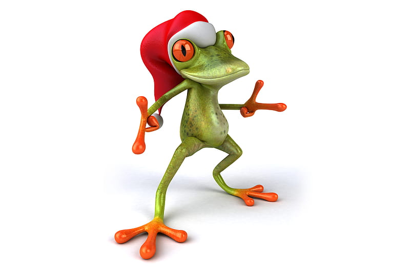 Santa frog, red, broasca, creative, hat, frog, santa, fantasy, green, funny, white, HD wallpaper