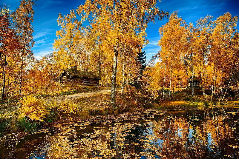 Norwegian Autumn near Oslo, leaves, water, colors, cabin, trees, HD wallpaper