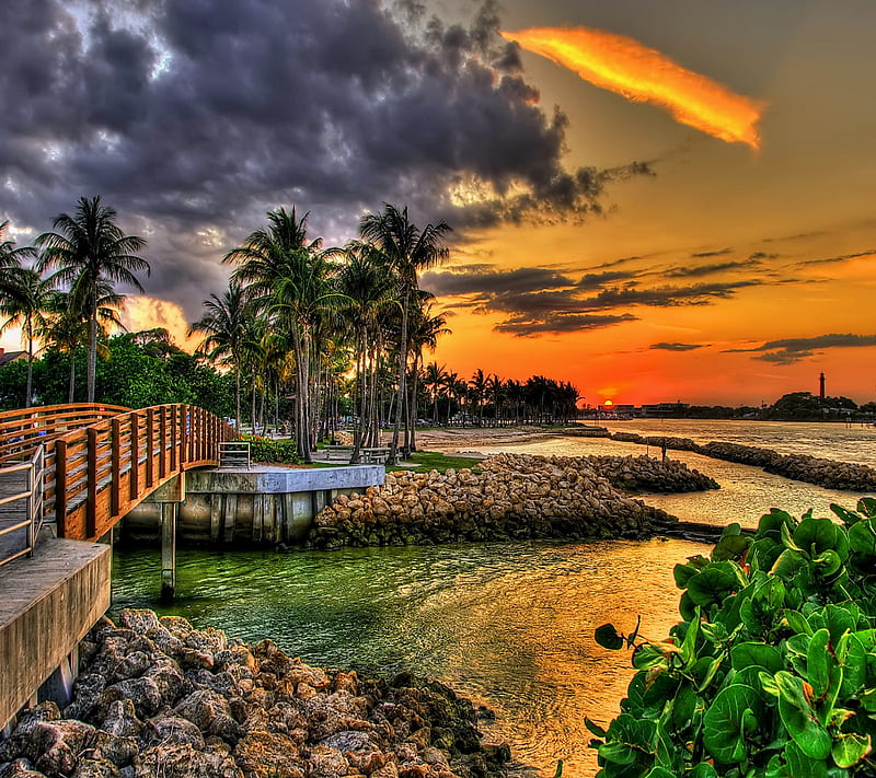 Tropical Sunset, beach, coast, palms, sea, HD wallpaper