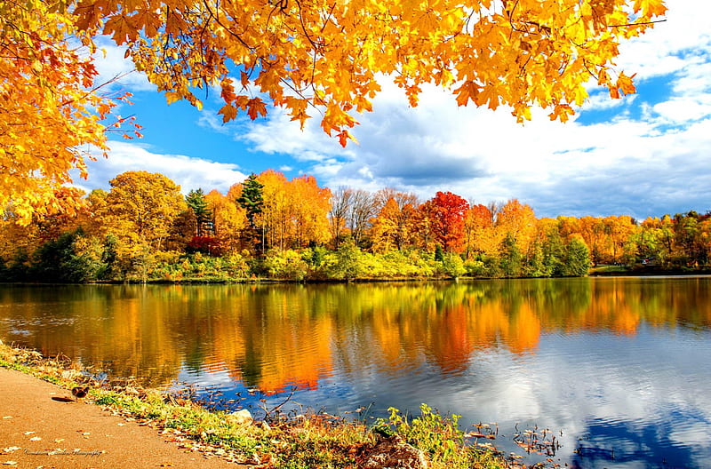 Autumn reflections, fall, autumn, shore, falling, clouds, foliage ...