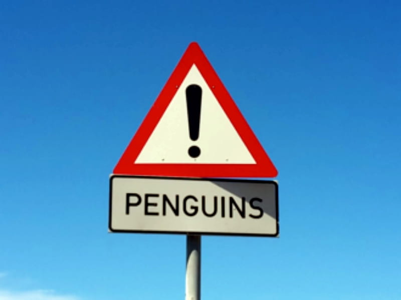 South Africa Cape Point Penguins Sign, Cape, Penguins, Point, South Africa, Sign, HD wallpaper