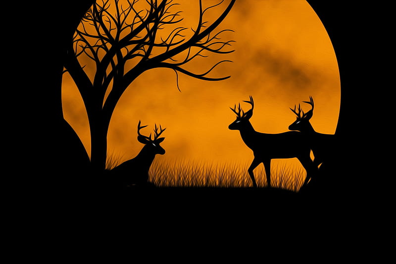 Moonlight, tree, moon, orange, moon, full, black, silhouette, deer, autumn, HD wallpaper