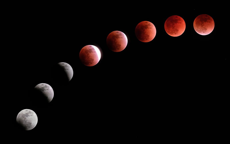 Moon, Lunar eclipse, phases of the eclipse of the moon, concepts, satellite of the Earth, 7 stages, HD wallpaper