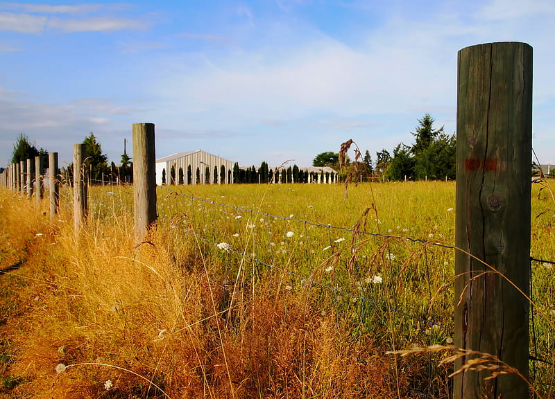 Country Field, fence, rural, buildings, country, posts, field, HD wallpaper