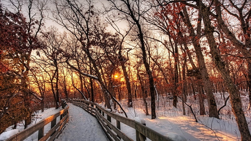 path through a forest on a winter sunset r, forest, path, r, sunset, rails, winter, HD wallpaper