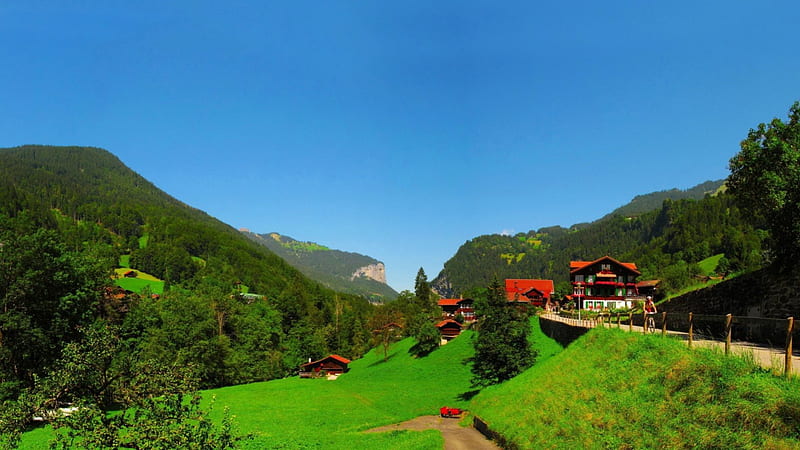 summer in the valley in lauterbrunnen switzerland, grass, town, bicycling, trees, valley, HD wallpaper
