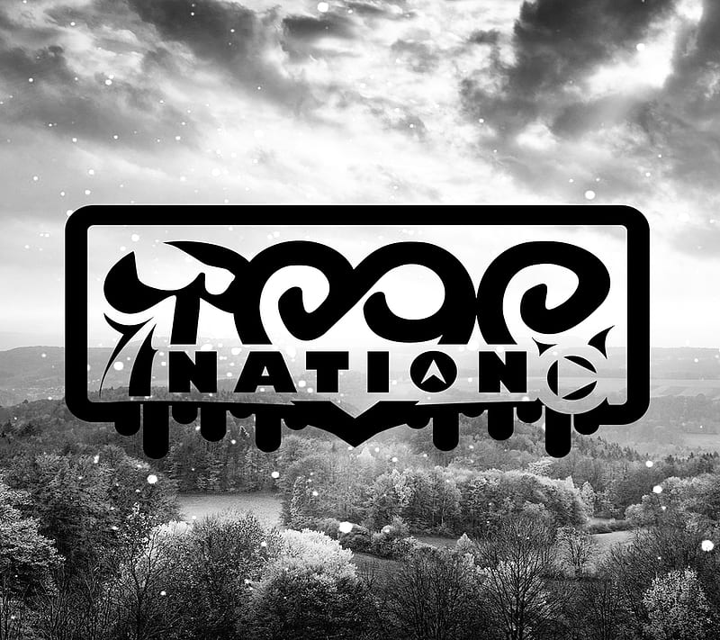 Trap Nation, abstract, art, crazy, desenho, logo, modern, music, HD wallpaper
