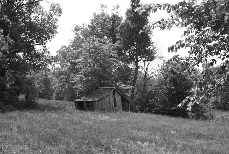 Abandoned Barn, Barn, Landscape, Architecture, Outdoors, Field, Abandoned, Black And White, Nature, HD wallpaper