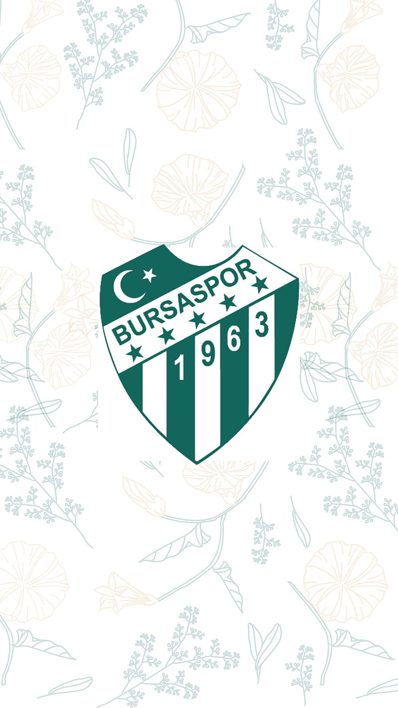 Bursaspor , bursa, teksas, whatsapp, HD phone wallpaper