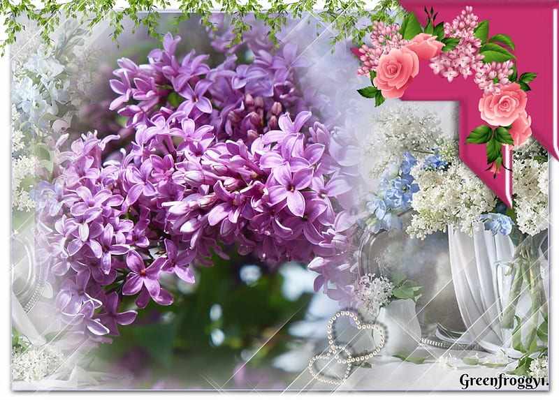 Hermosas flores lilas, lila, bonitas, flores, Fondo de pantalla HD | Peakpx