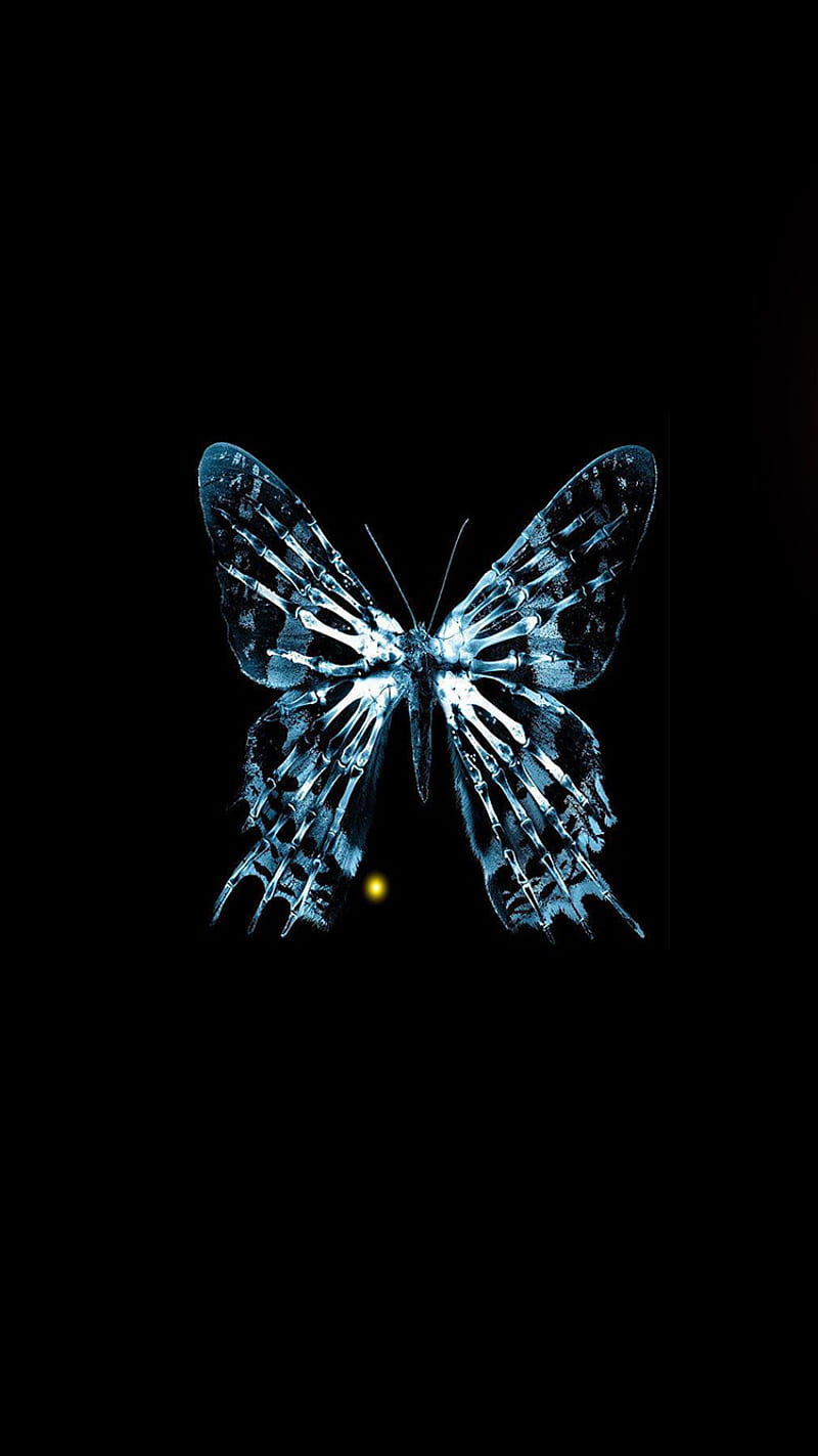 Free Wallpapers Black Butterfly Blue Background  Abstract
