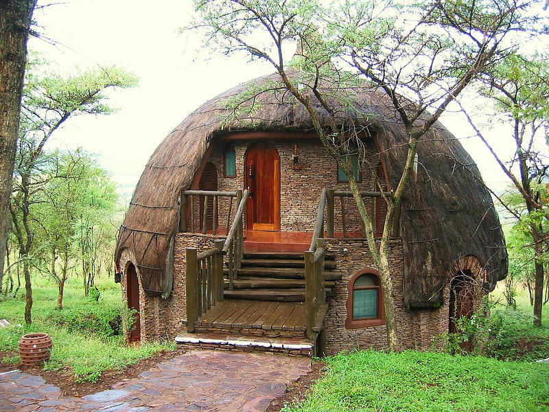 Serengeti park house, round, house, serengeti, park, trees, africa, HD wallpaper