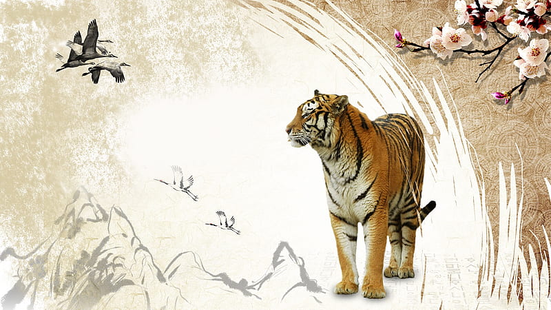 Tiger III, sakura, wild animal, oriental, ducks, firefox persona, tiger, cherry blossoms, HD wallpaper