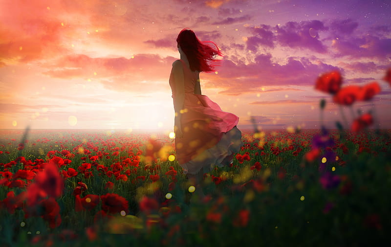 Rising Sunlight, sun, girl, poppies, wind, beauty, clouds, sky, field, HD wallpaper