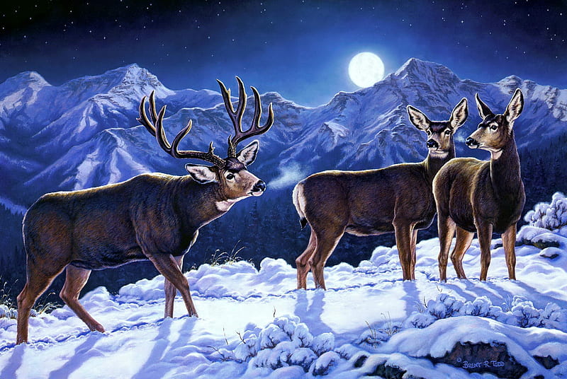 Moonlight mulies, snow, deers, winter, frost, cold, art, forest, bonito, mountain, moonlight, HD wallpaper