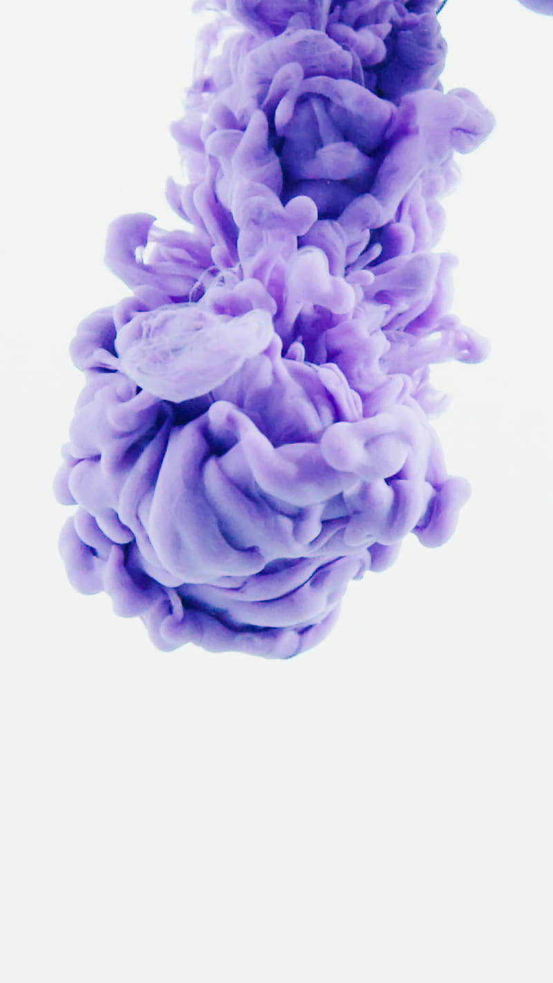 Purple Flower With White Background, HD phone wallpaper