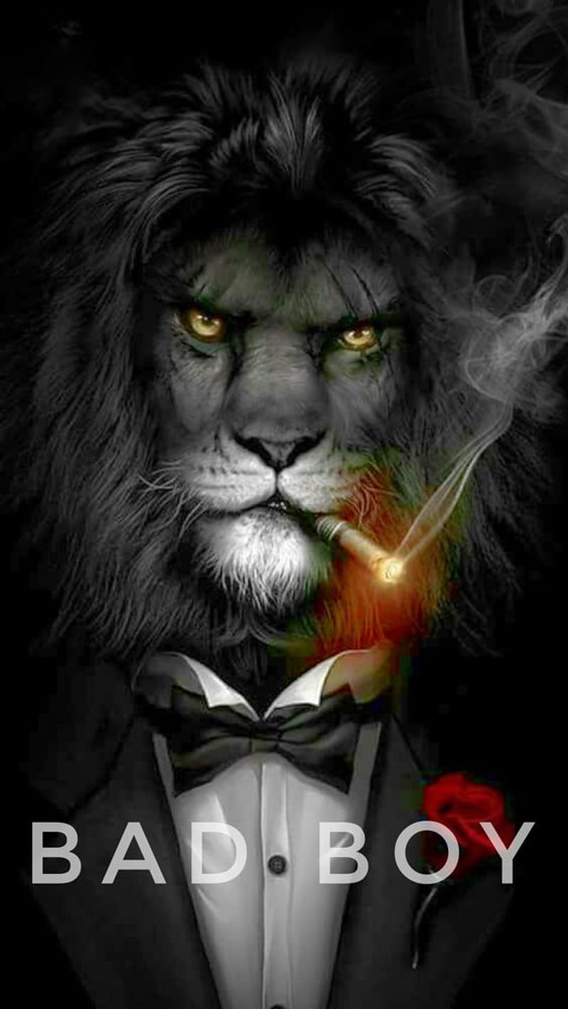 Smoking Lion , bad boy, HD phone wallpaper