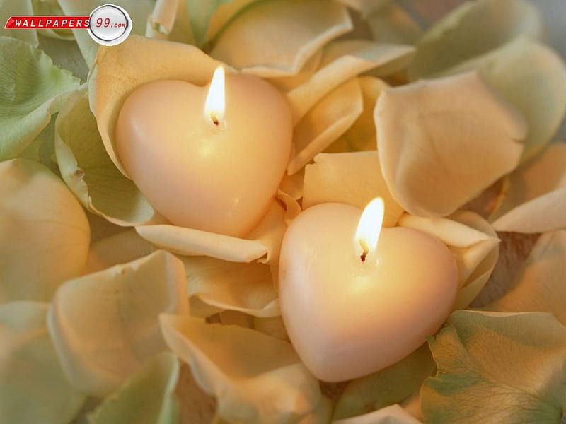 Beautiful Candles, candle, bonito, 1, light, HD wallpaper | Peakpx