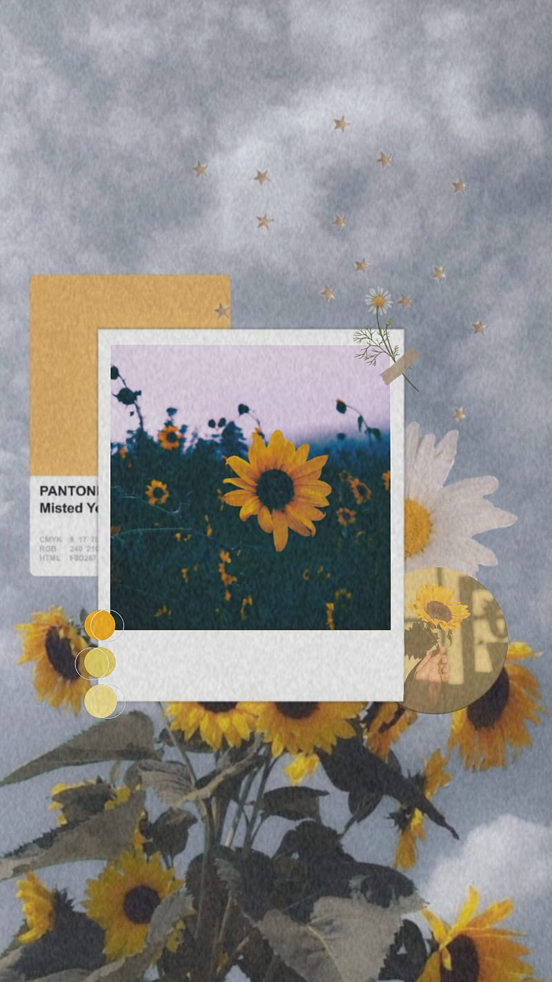 sunflower, aesthetic, cute, grain, yellow, HD phone wallpaper