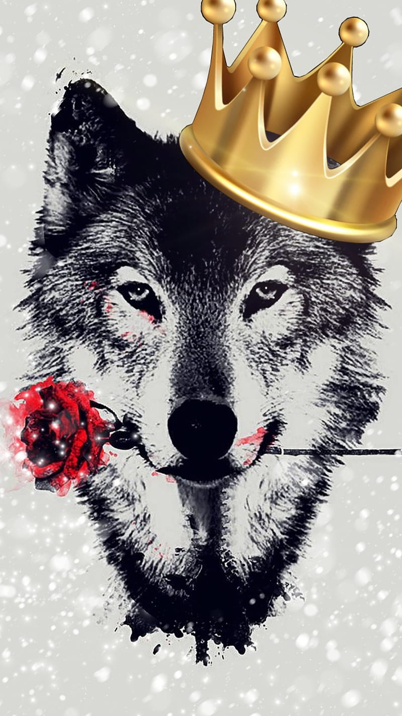 WolfRoz, hipster, hunter, king, lone, pets, red, rose, tumblr, wolf, wolves,  HD phone wallpaper | Peakpx