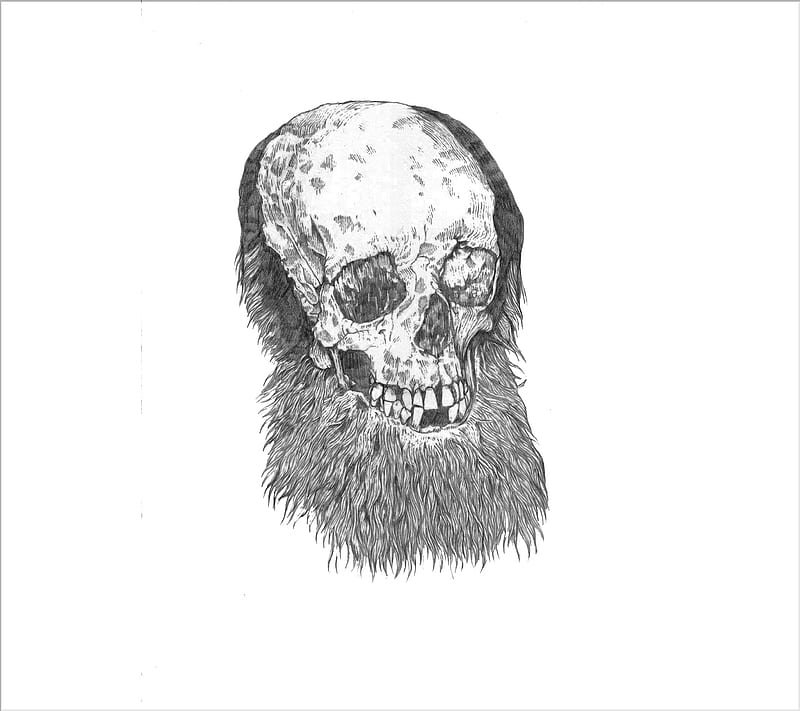 bear, barbe, beard, crane, hipster, live, skull, HD wallpaper