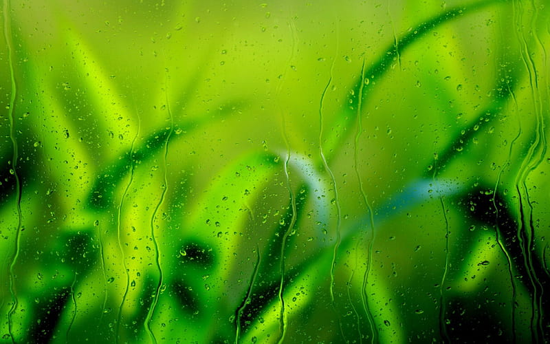 Through tha rain, glass, grass, raining, nature, waterdrops, HD wallpaper