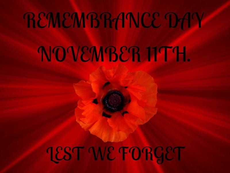 REMEMBRANCE DAY, ALL, SOLDIERS, WARS, FALLEN, HD wallpaper