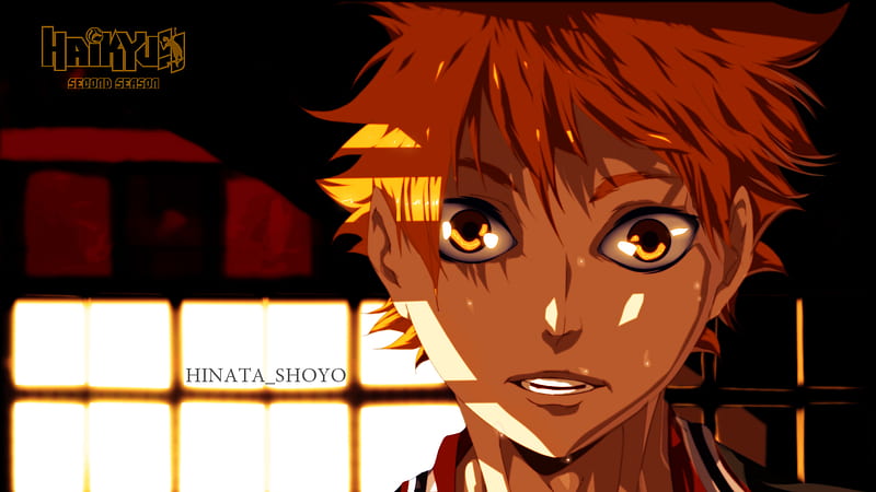 Haikyu Hinata Shoyo Anime, HD wallpaper
