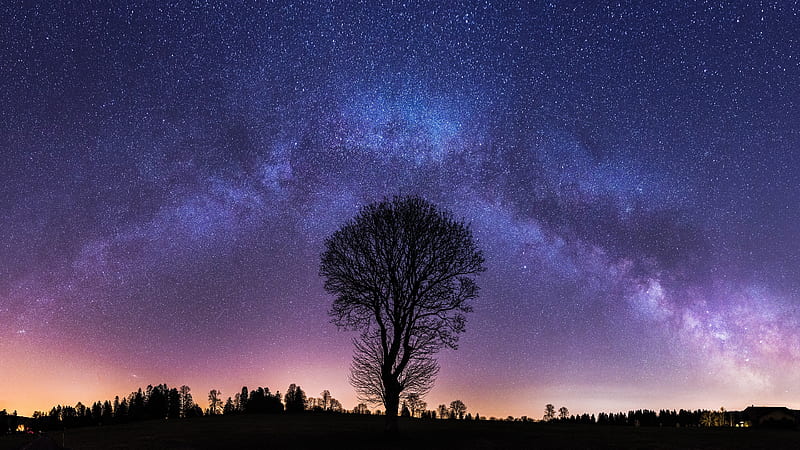 Milky Way and Lonely Tree, HD wallpaper