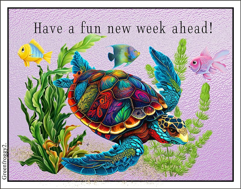 FUN NEW WEEK, FUN, COMMENT, WEEK, CARD, HD wallpaper | Peakpx