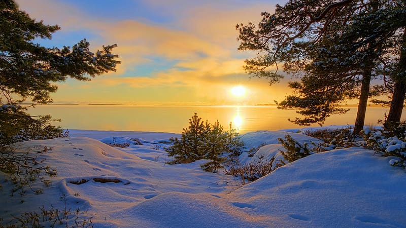Evening At A Lake, winter, frozen, snow, colors, landscape, sky, sun, sunset, trees, HD wallpaper