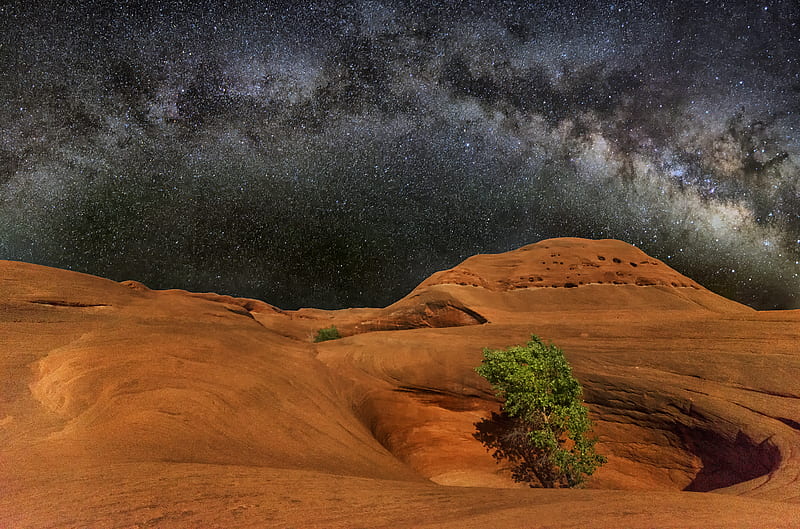 tree in the middle of crate under milkyway, HD wallpaper