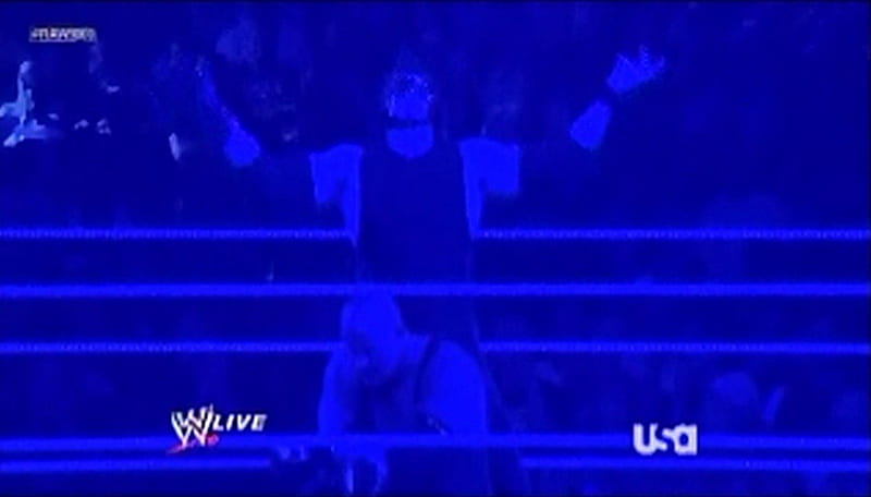 The Undertaker & Kane: Reunited, kane, brothers of destruction, wwe, undertaker, HD wallpaper