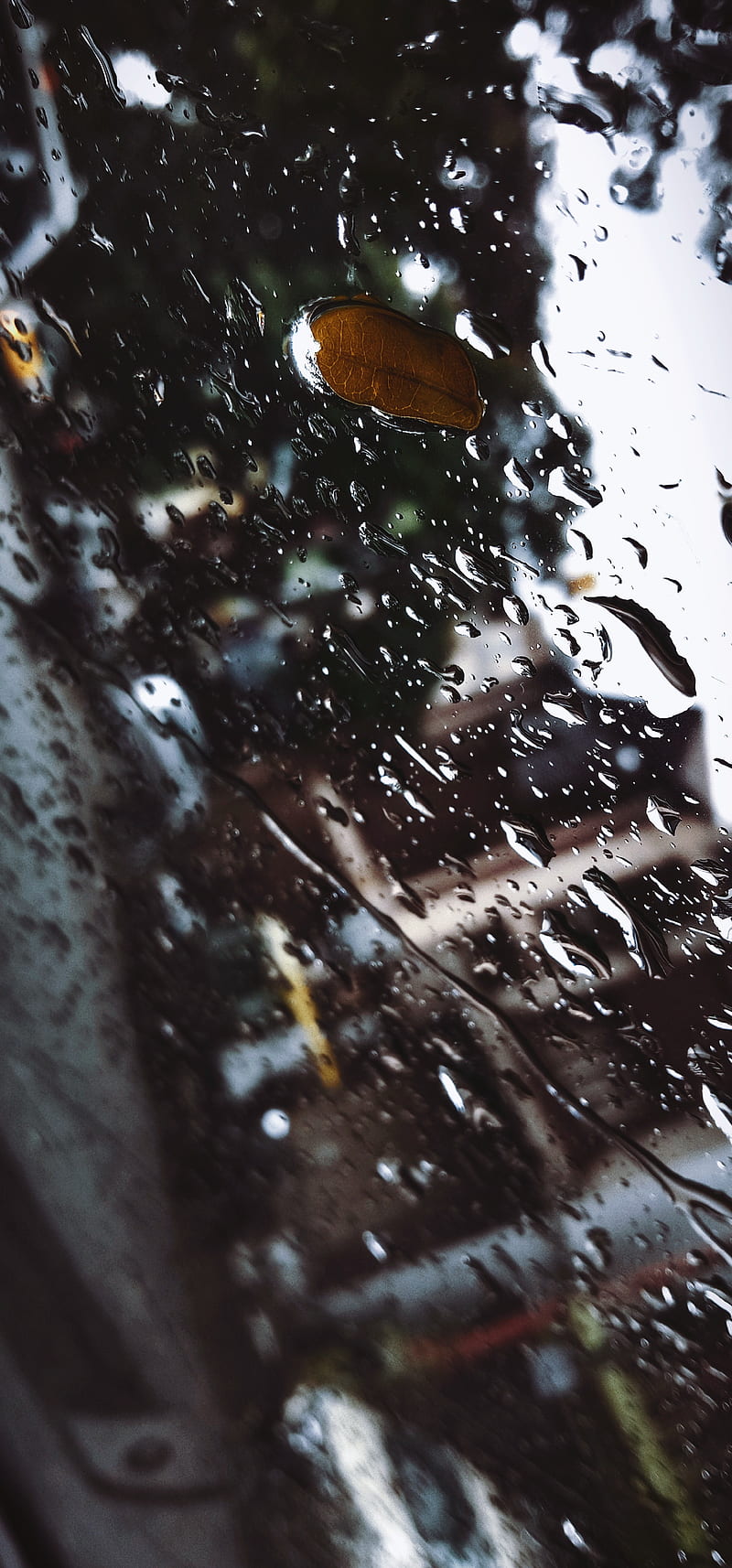 Rainny day, drops, natural, rain, rain drops, rainny, vivo y15, water, water droplets, HD phone wallpaper