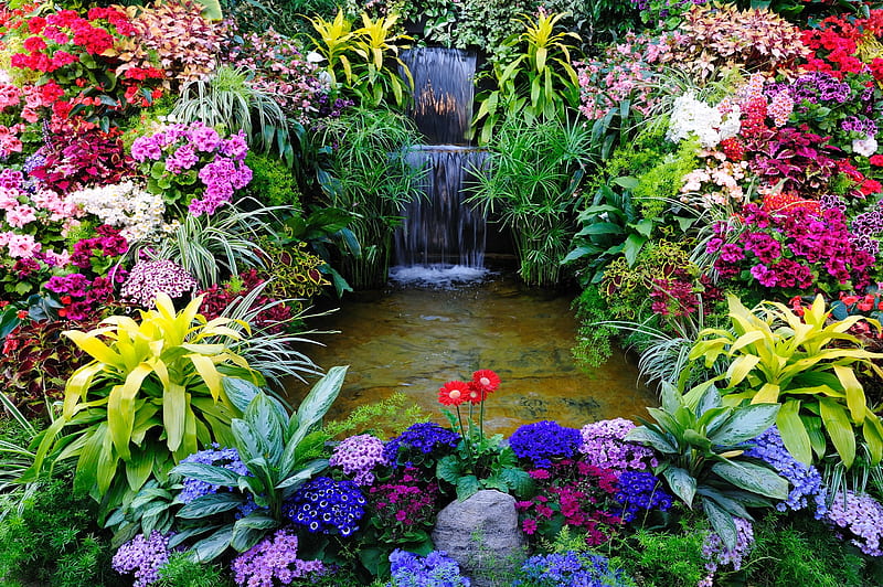 Paradise garden, summer, flowers, colorful, stream, pretty, park, bonito, cascades, multicolor, paradise, wildflowers, garden, HD wallpaper